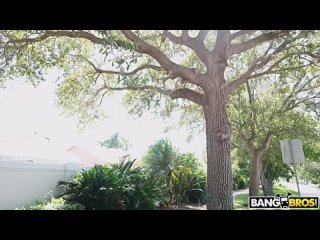 360 - 2025-09-17t063715 379 mp4